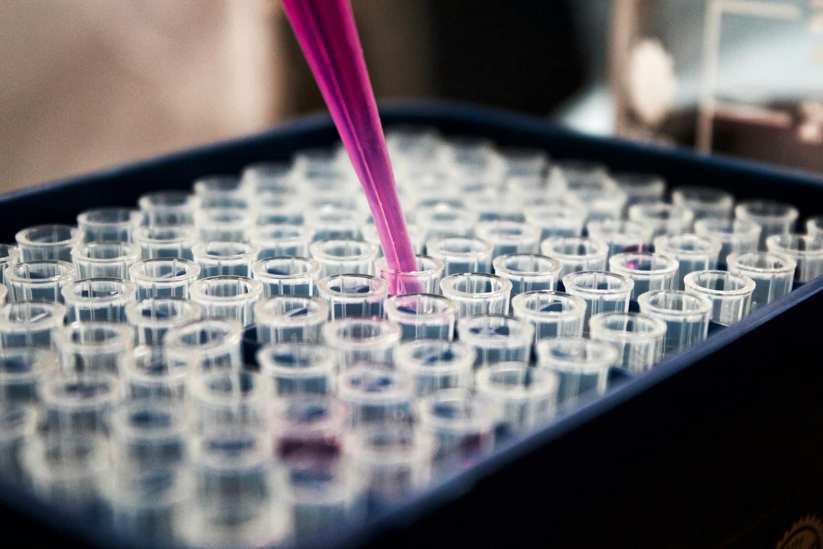 Scientist reviewing samples in a laboratory